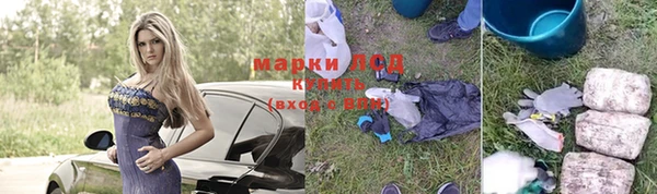 крисы Зеленодольск